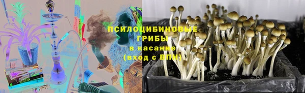 трава Богородск