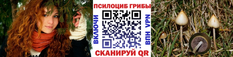 цены наркотик  Ессентуки  Галлюциногенные грибы MAGIC MUSHROOMS 