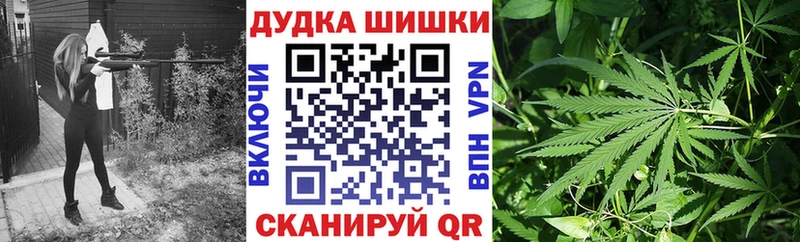 Бошки Шишки марихуана  купить наркотик  Ессентуки 